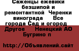 Саженцы ежевики безшипой и ремонтантной. Черенки винограда . - Все города Сад и огород » Другое   . Ненецкий АО,Бугрино п.